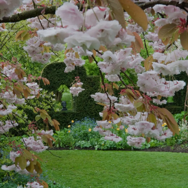 Highgrove gardens