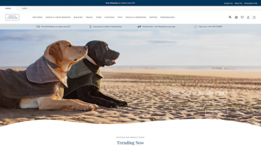 Lords & Labradors webpage